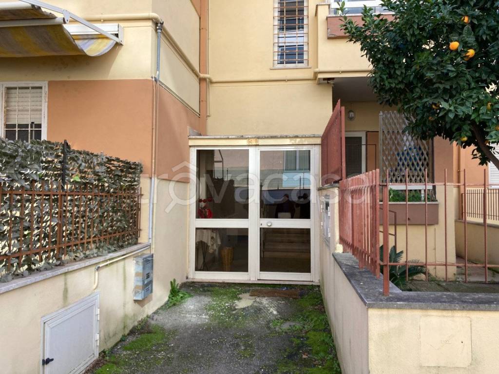 immagine annuncio 9 di 11