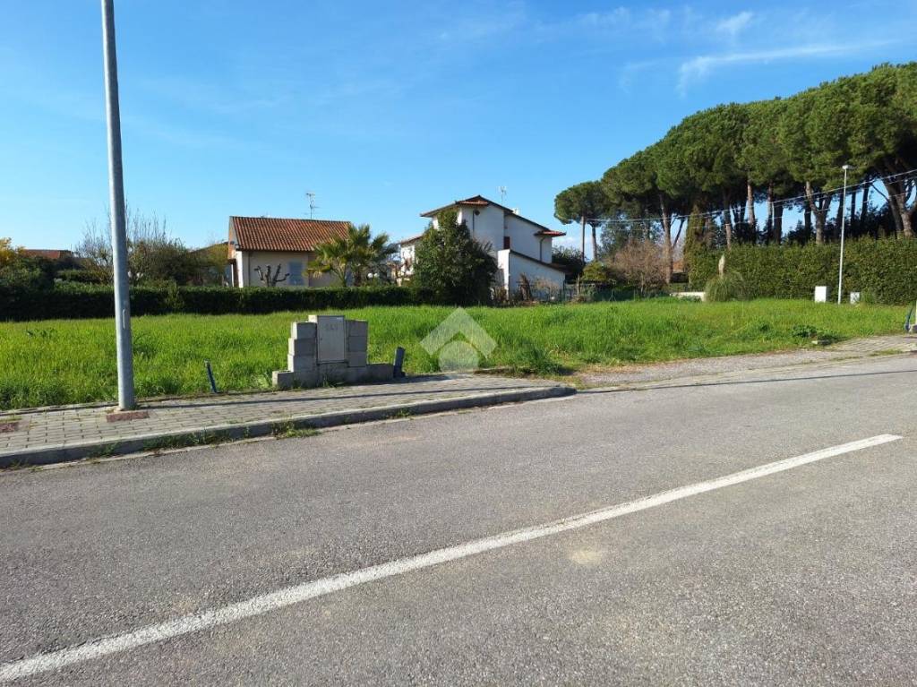 immagine annuncio 8 di 12