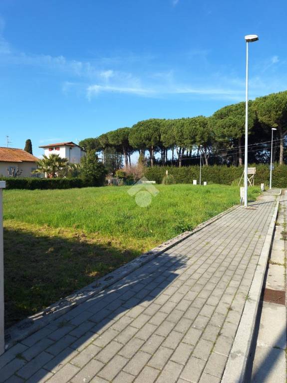 immagine annuncio 9 di 12