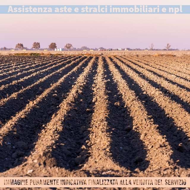 immagine annuncio 8 di 13