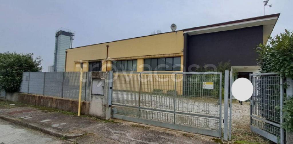 immagine annuncio 9 di 12