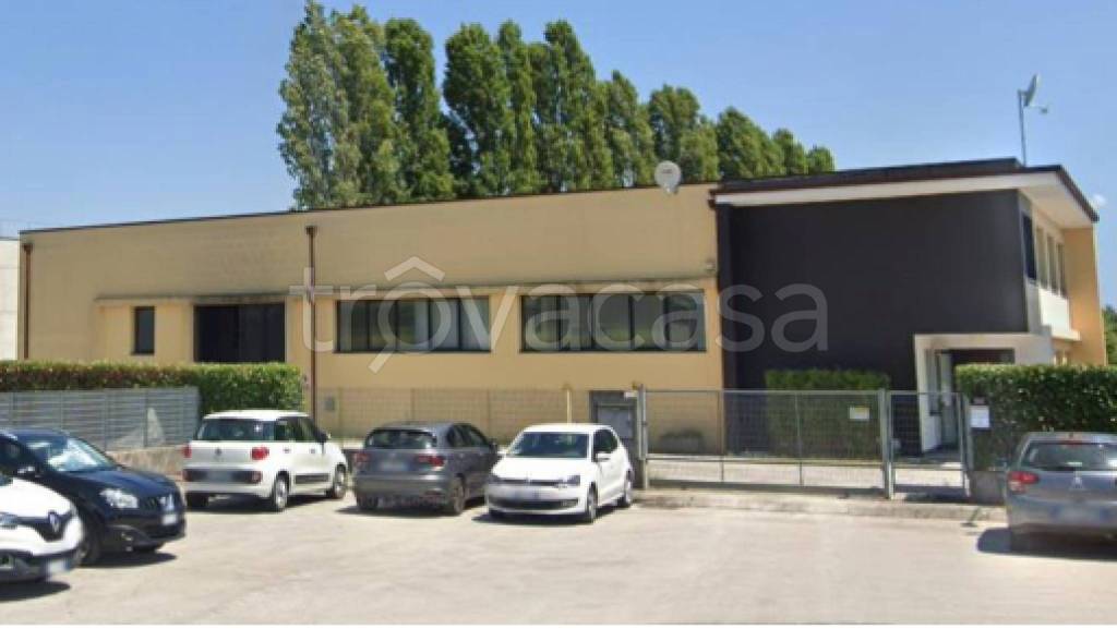 immagine annuncio 10 di 12