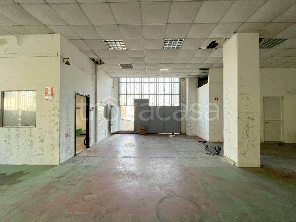 immagine annuncio 5 di 15