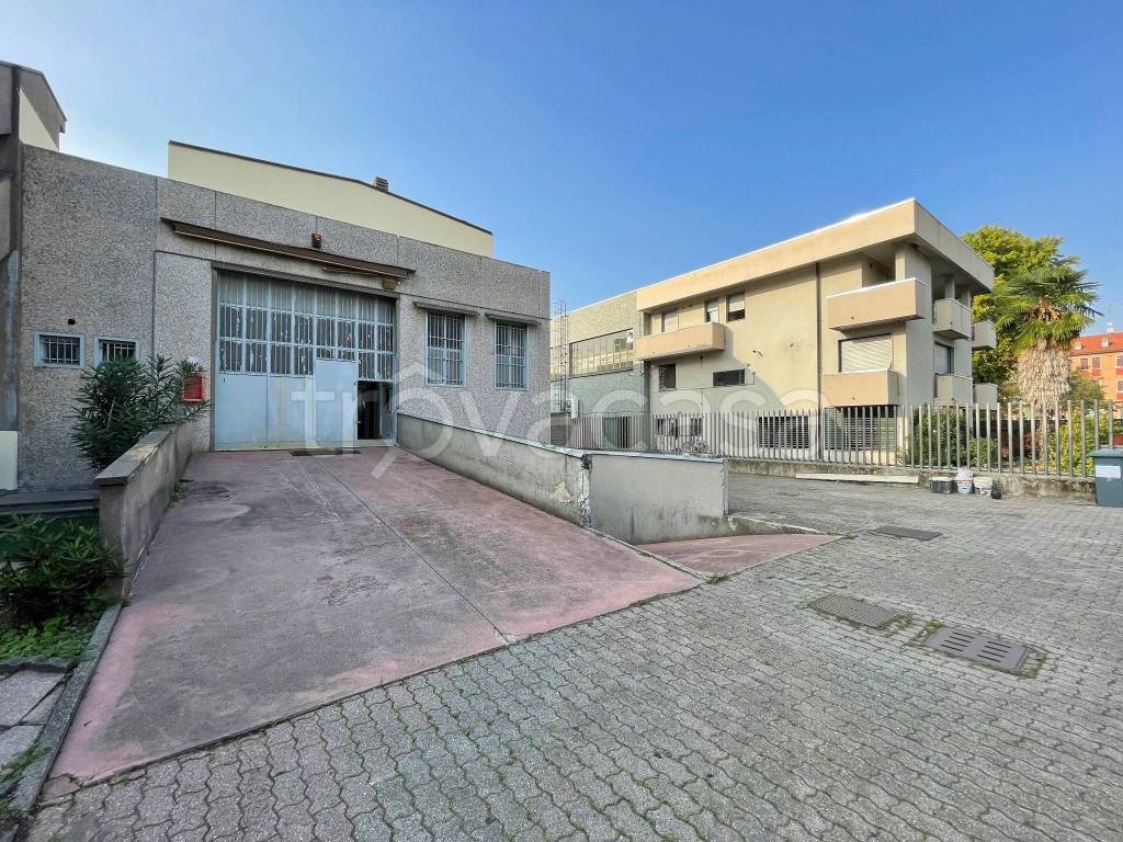 immagine annuncio 11 di 15