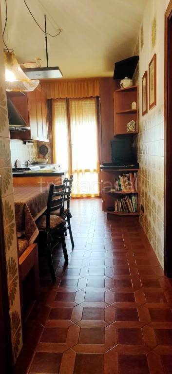 immagine annuncio 3 di 14