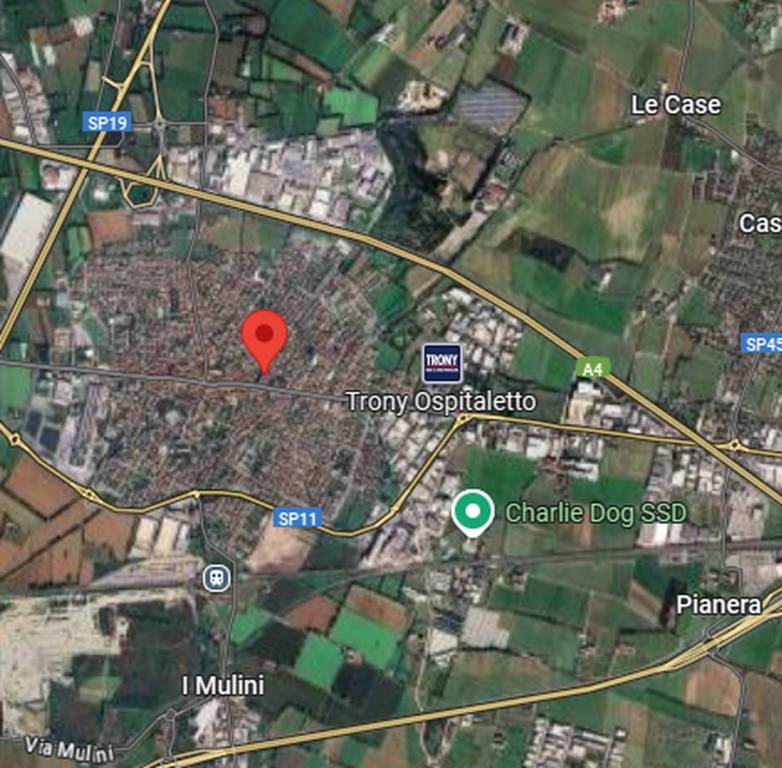 immagine annuncio 1 di 11