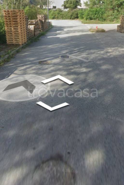 immagine annuncio 7 di 11