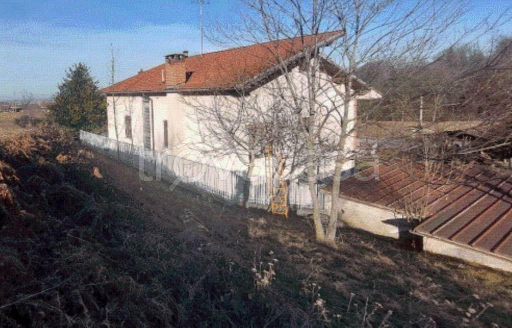 immagine annuncio 4 di 11