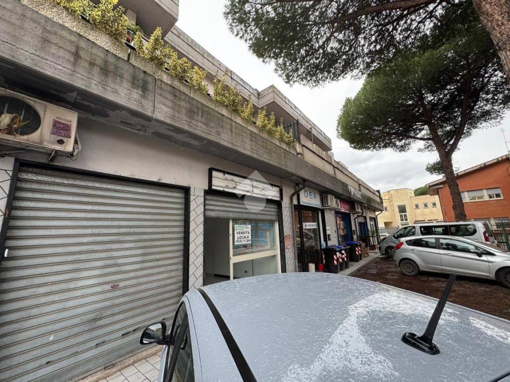 immagine annuncio 1 di 14