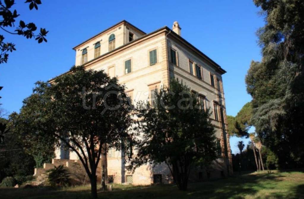 immagine annuncio 8 di 9