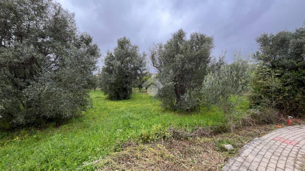 immagine annuncio 4 di 9