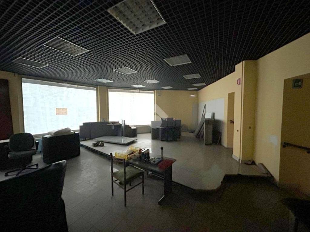 immagine annuncio 11 di 13