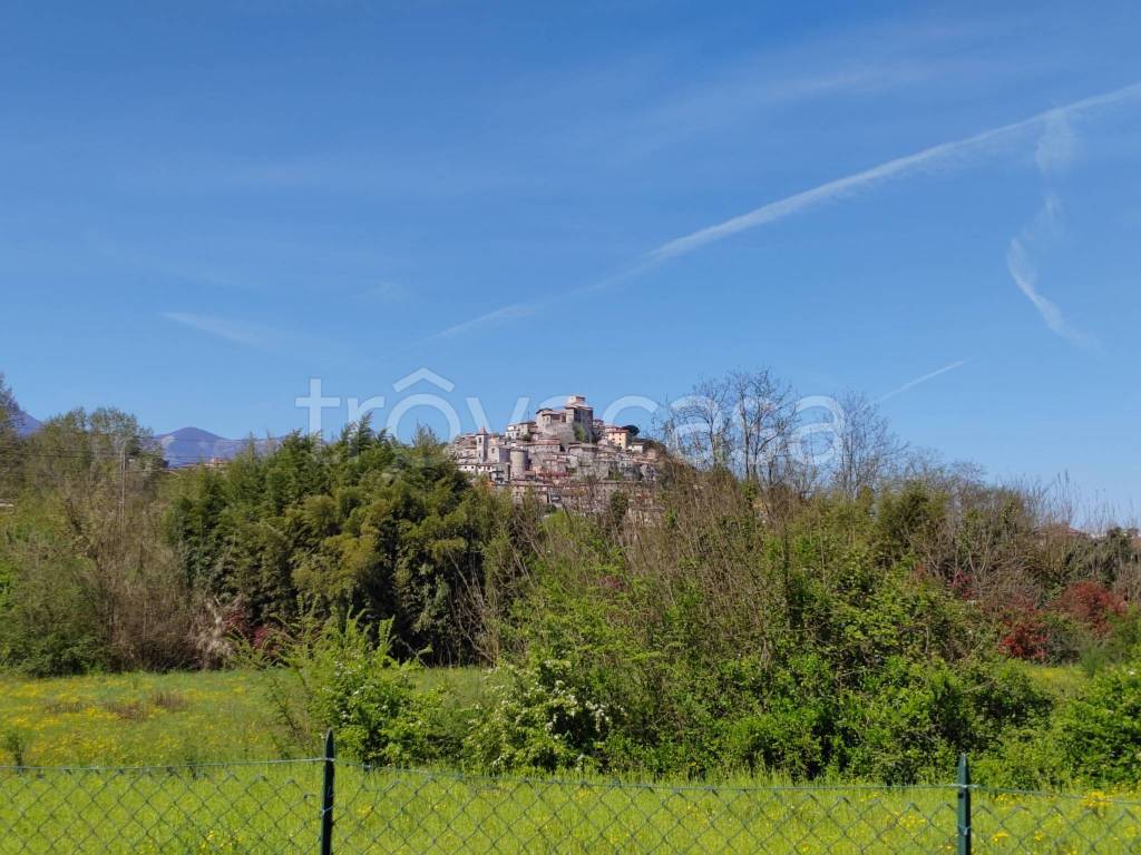 immagine annuncio 12 di 13
