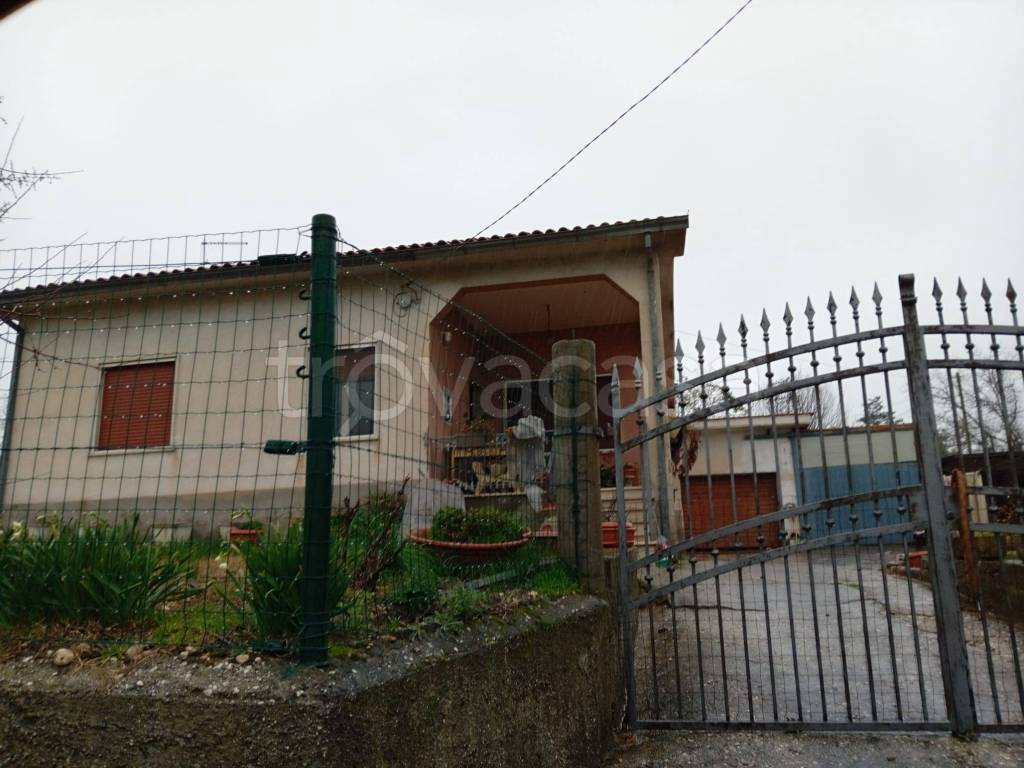 immagine annuncio 1 di 12
