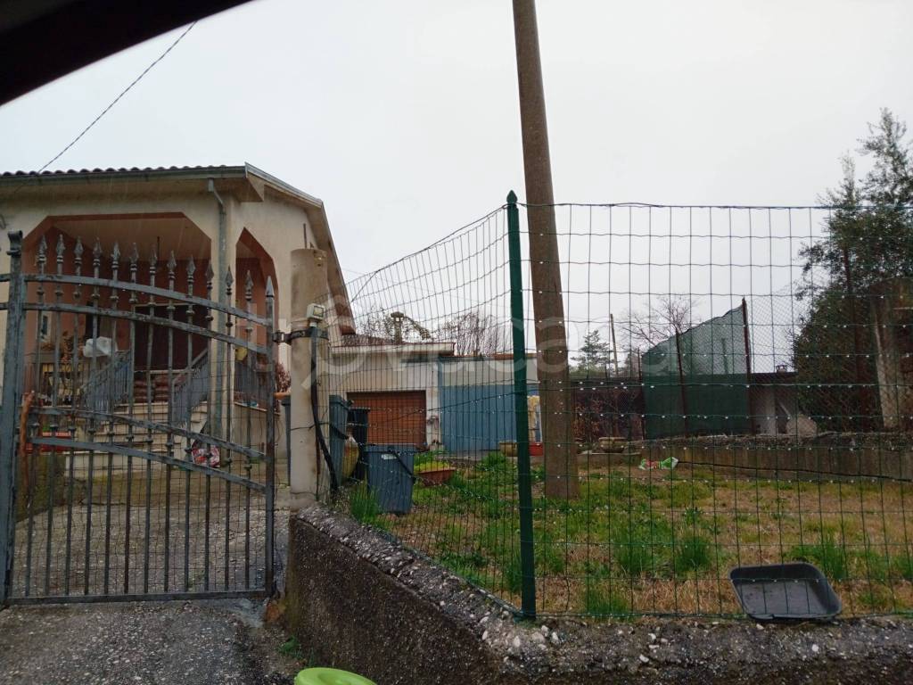 immagine annuncio 2 di 12