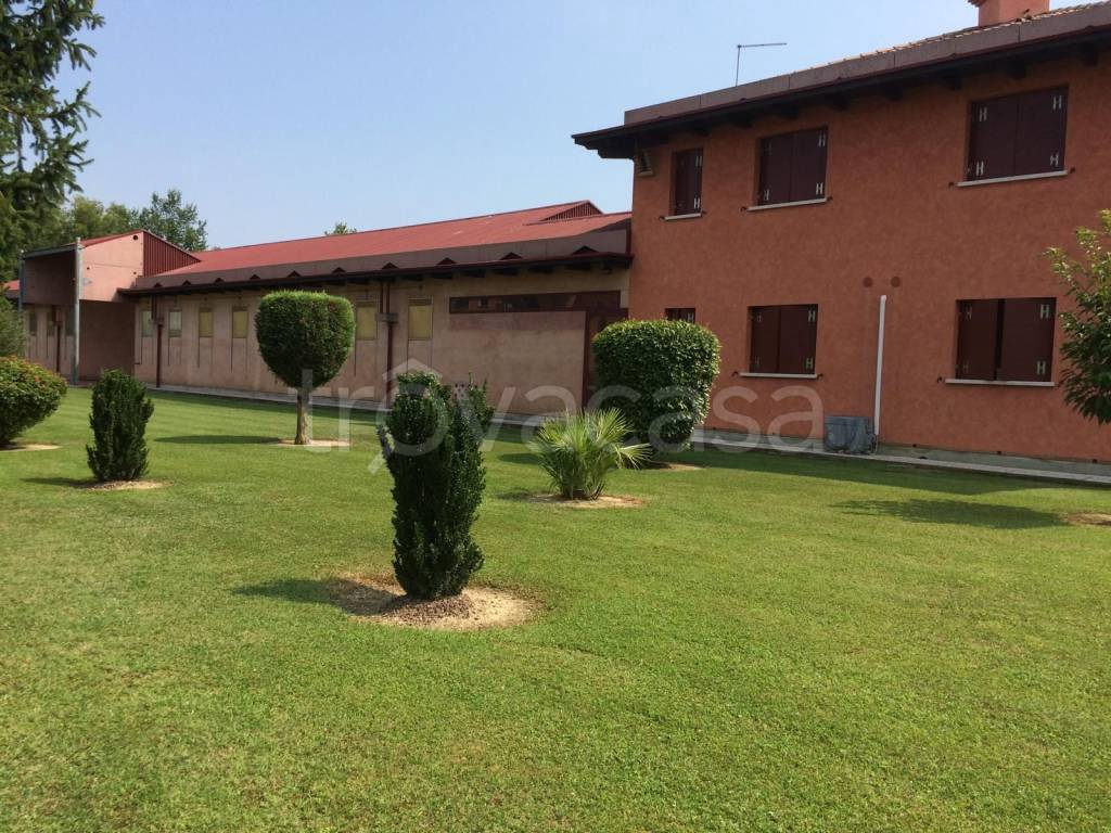 immagine annuncio 10 di 15