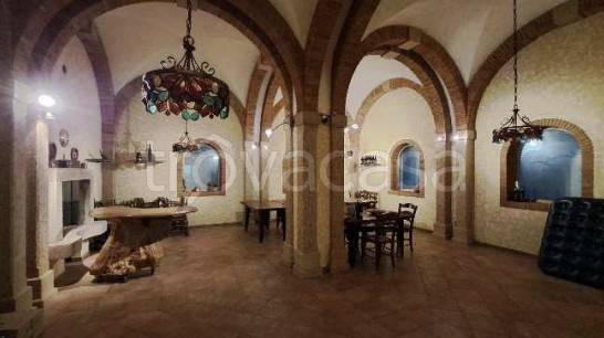 immagine annuncio 9 di 14