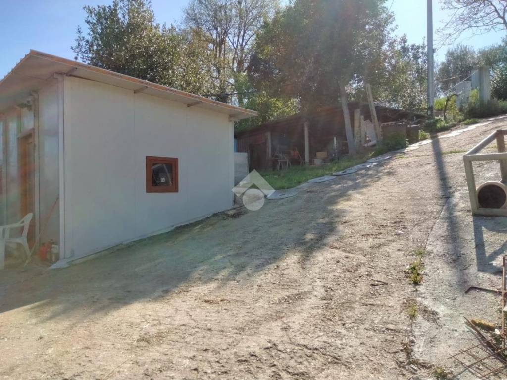 immagine annuncio 13 di 15
