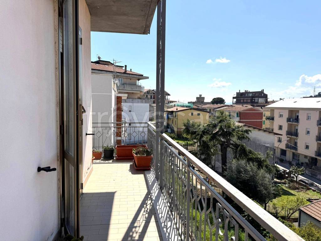 immagine annuncio 8 di 14