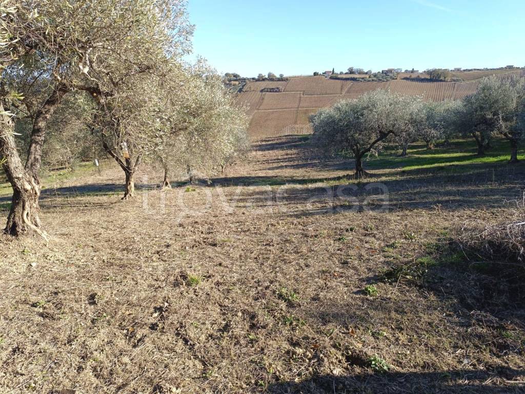 immagine annuncio 5 di 6