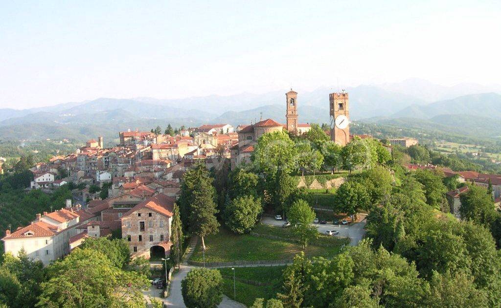 immagine annuncio 1 di 7