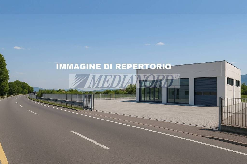 immagine annuncio 1 di 2