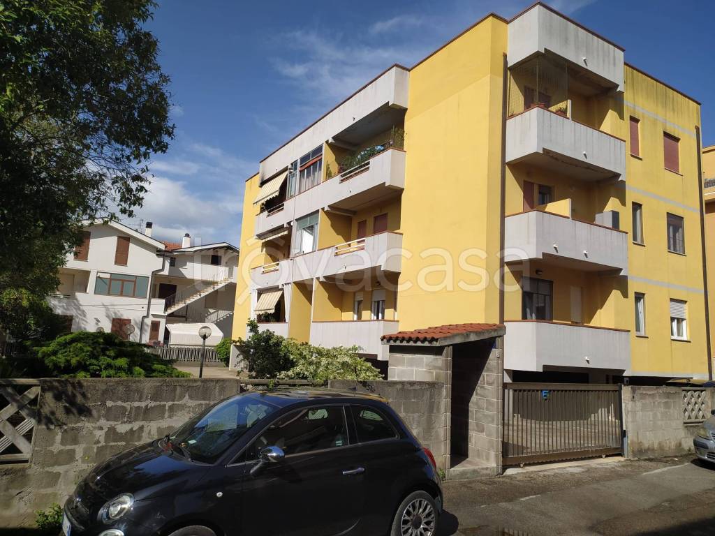 immagine annuncio 11 di 15