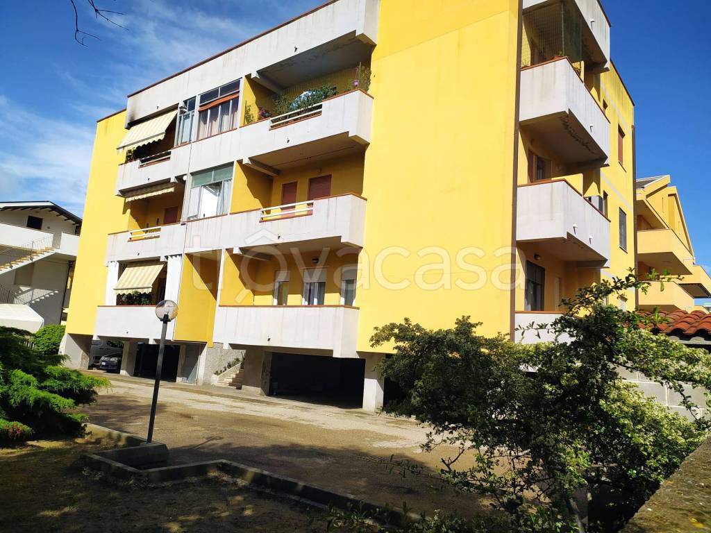 immagine annuncio 12 di 15