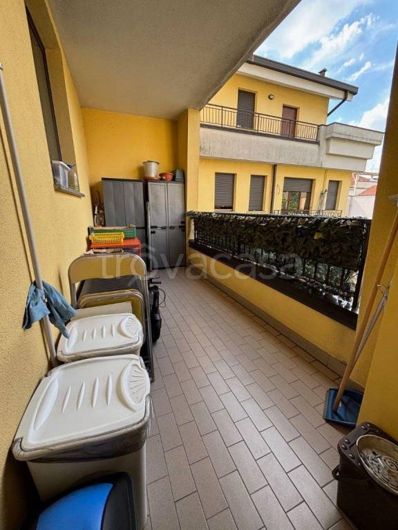 immagine annuncio 9 di 15