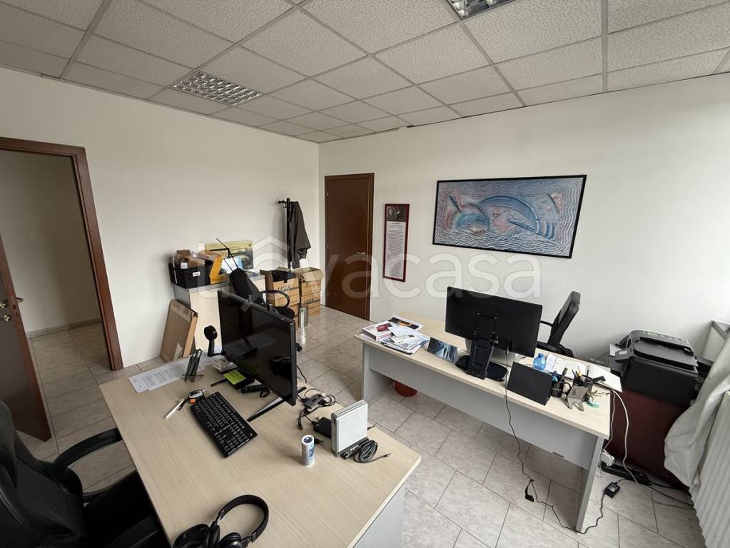 immagine annuncio 10 di 13
