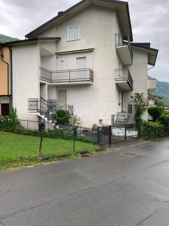 immagine annuncio 5 di 15