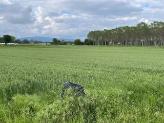 Terreno agricolo in vendita a carignano regione olmi