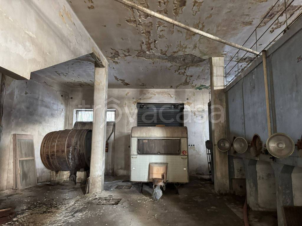 immagine annuncio 9 di 12