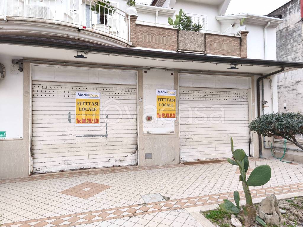 immagine annuncio 5 di 12