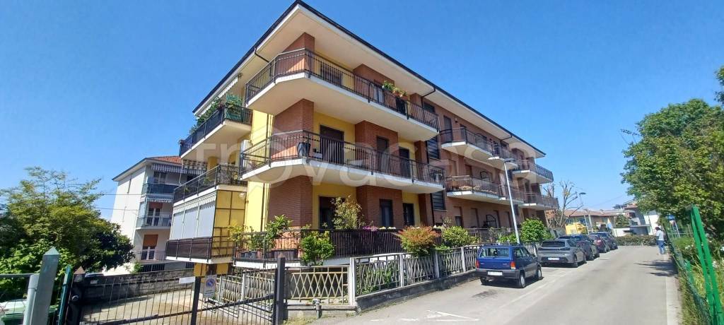 immagine annuncio 6 di 15