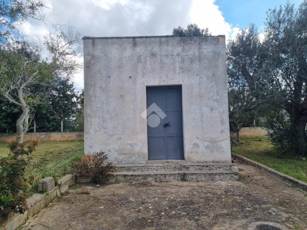 immagine annuncio 1 di 13
