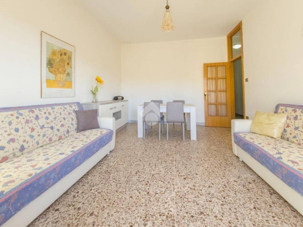 immagine annuncio 2 di 14