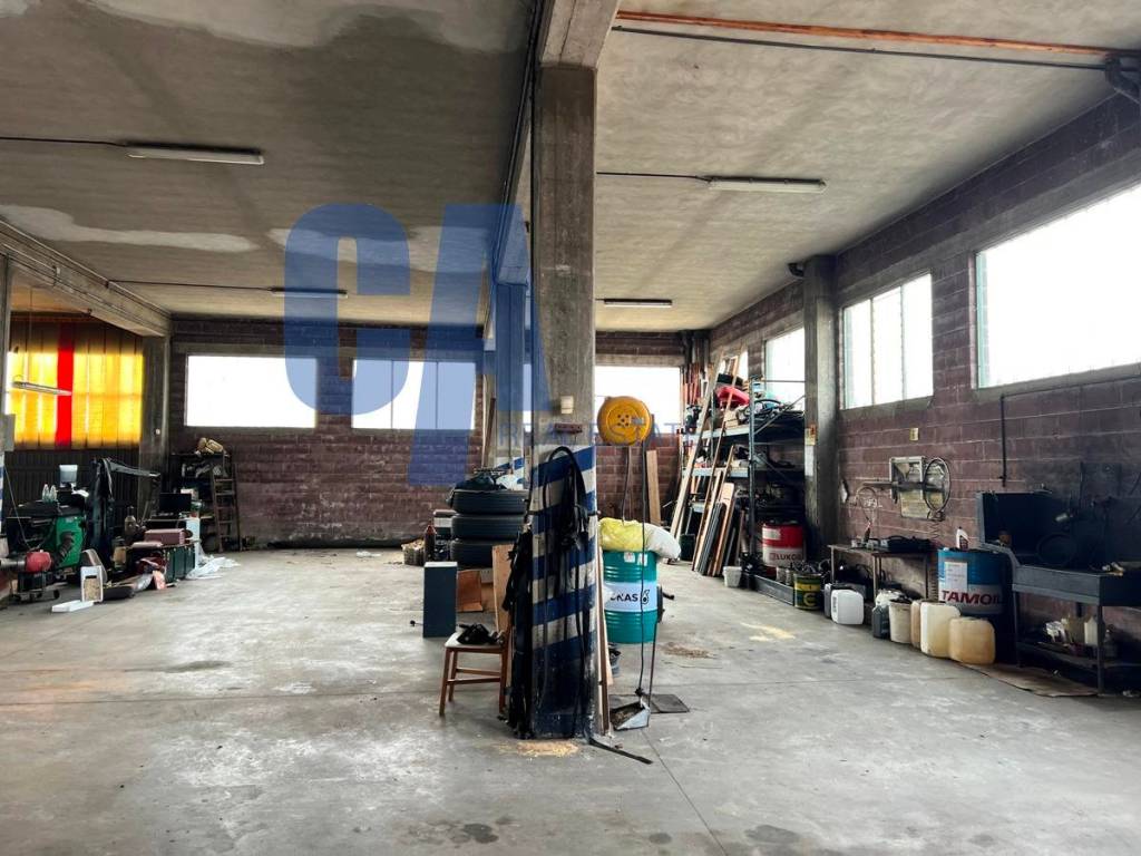 immagine annuncio 5 di 15