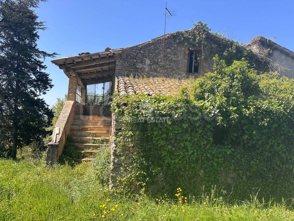 immagine annuncio 3 di 7