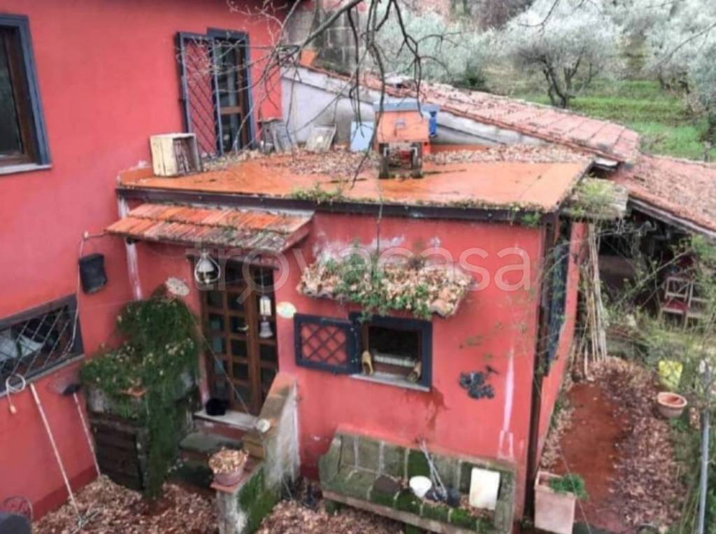 immagine annuncio 2 di 14
