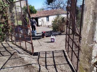 Terreno agricolo in vendita a castelbottaccio strada provinciale bifernina, 113