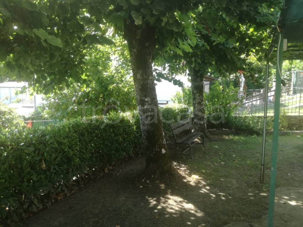 immagine annuncio 3 di 14