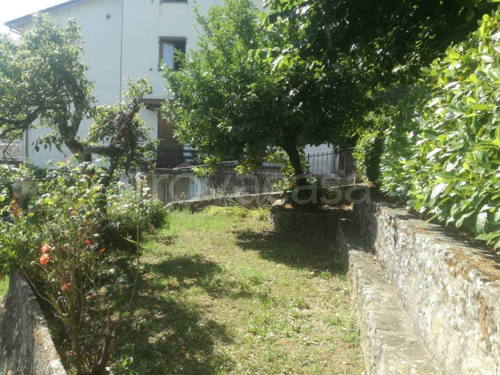 immagine annuncio 5 di 14