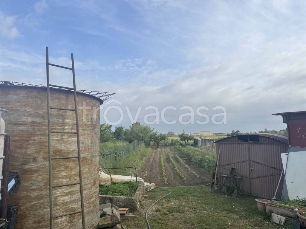 immagine annuncio 2 di 8