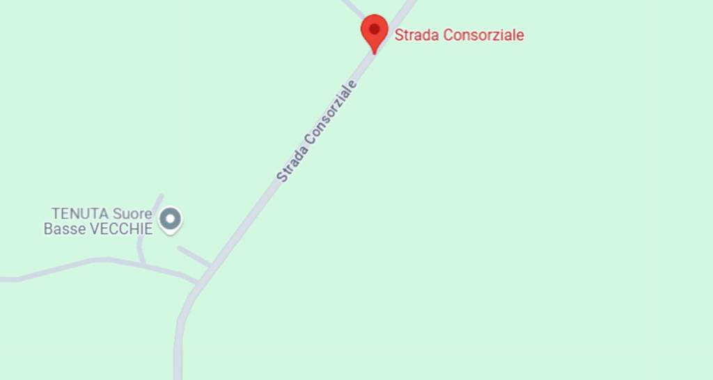 immagine annuncio 10 di 14