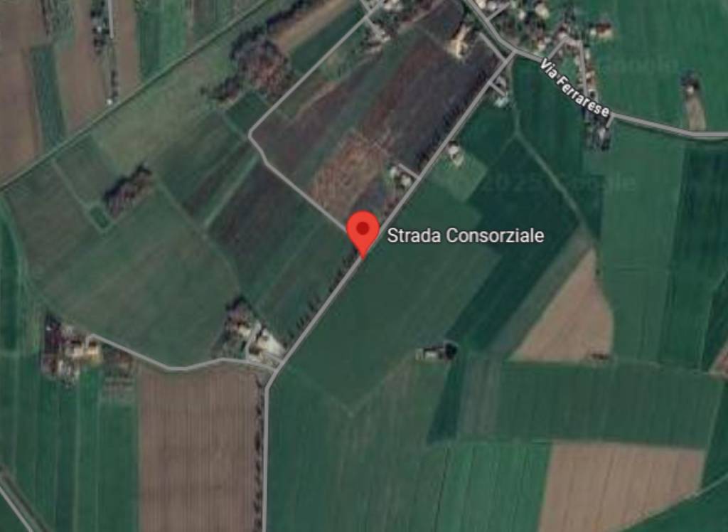 immagine annuncio 12 di 14