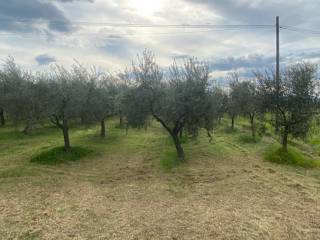 Terreno agricolo in vendita ad arezzo località puliciano