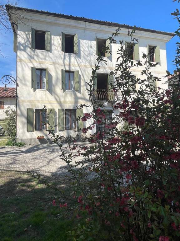 immagine annuncio 1 di 8