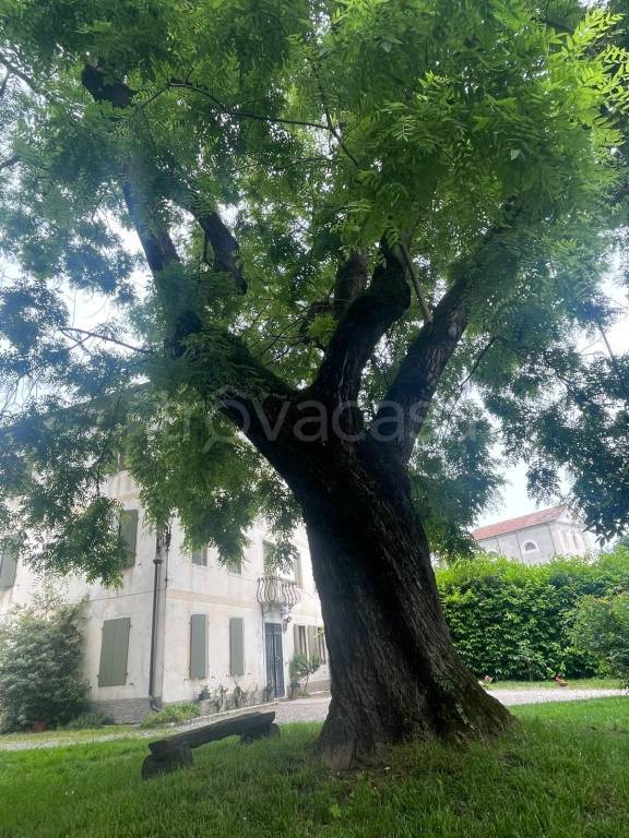 immagine annuncio 2 di 8