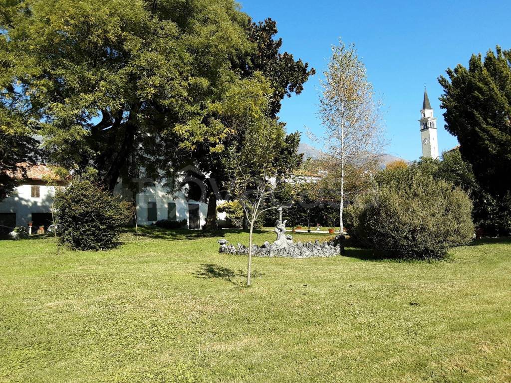 immagine annuncio 4 di 8